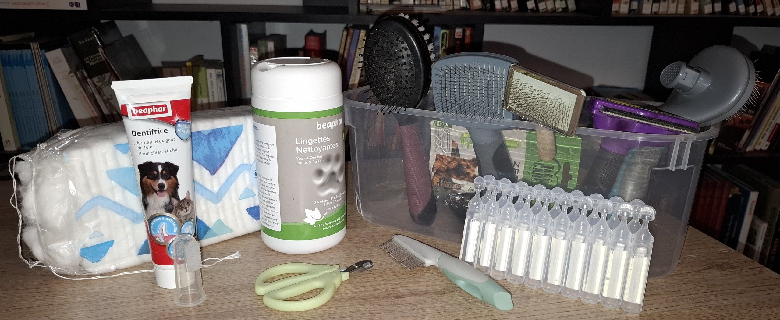 affaires de toilette des chats