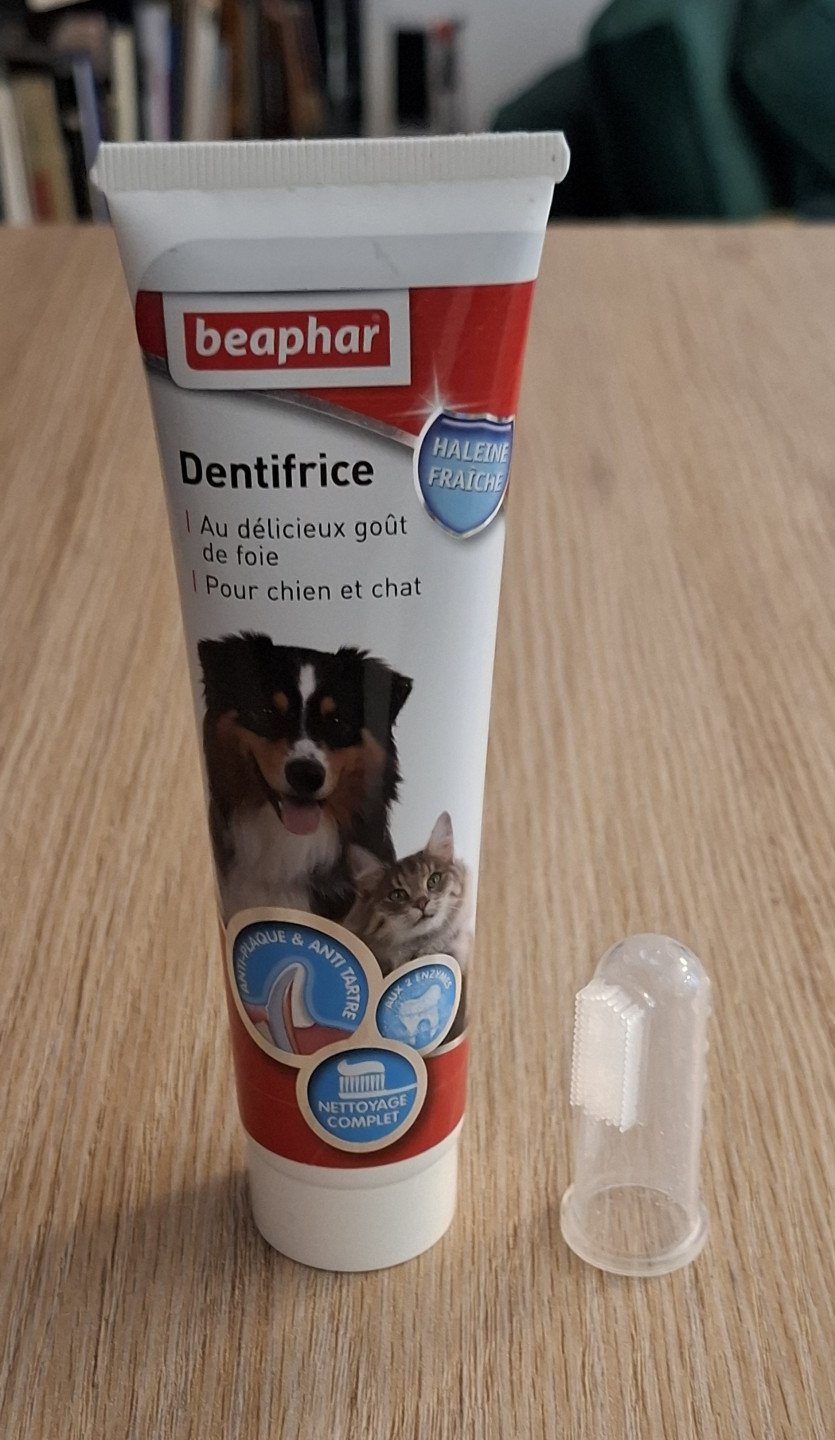 Dentifrice