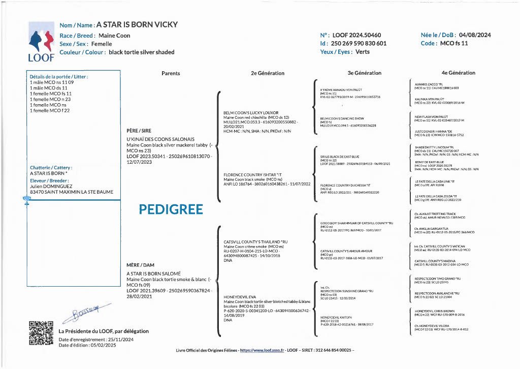 Pedigree de Victoire