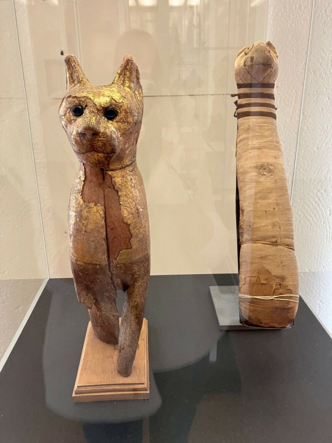 Cercueil et momie de chat, Basse Epoque