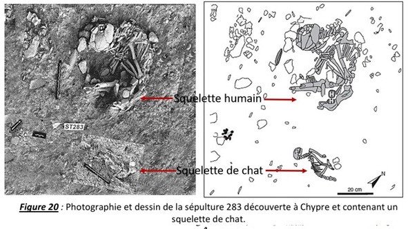 tombe avec chat, Chypre-sépulture 283