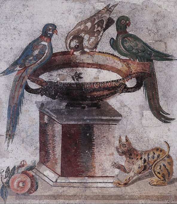 Mosaïque avec un chat attrapant un oiseau. Maison du Faune, Pompéi. Avant 79 de notre ère