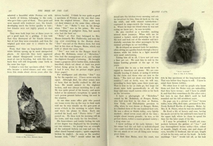 Book of the Cat, 1903 - article Maine Cats de F.R. Pierce