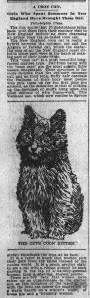 Indianapolis News 30 nov 1895