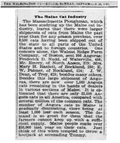 The Wilmington Messenger, 10 sept 1899 - Maine cat industry