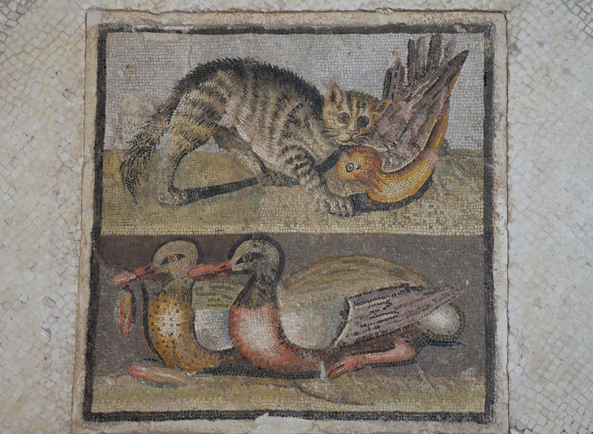 Mosaïque romain, début du 1er sècle avant JC, chat attrapant une perdrix