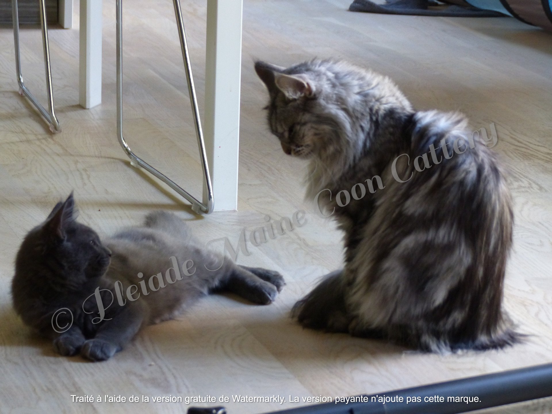 Elliot et Lisbeth, septembre 2017