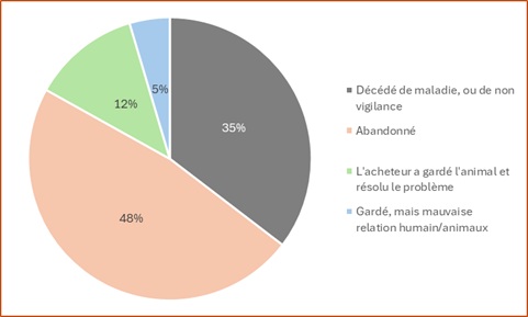 rapport argos42