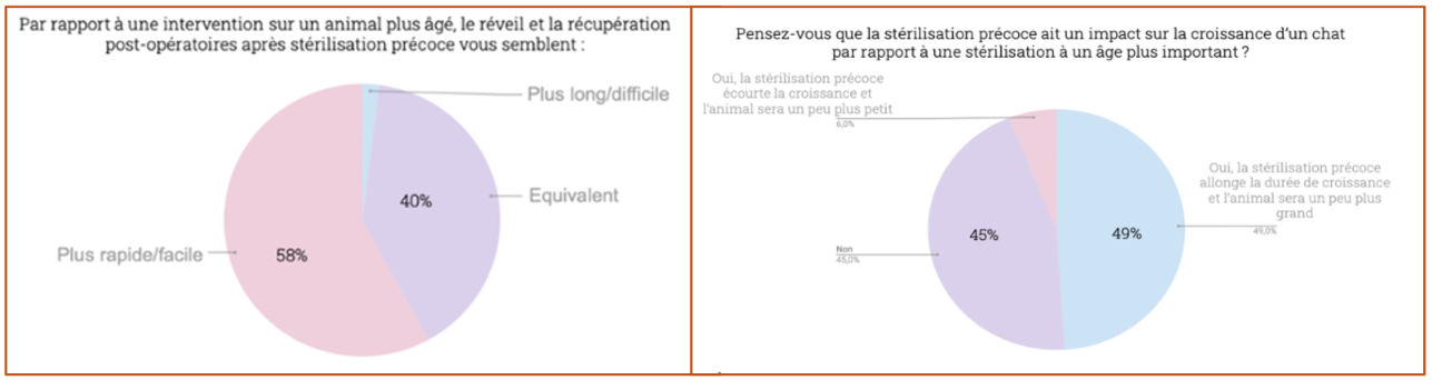 Tea GUILLET, thèse sur stérilisation précoce et avis vétérinaires