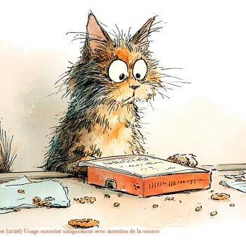 Lire les Etiquettes de la Pet Food