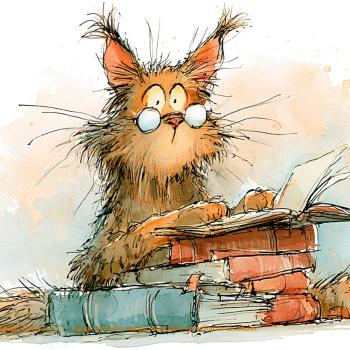 Élevage de chats : obligations légales et conseils d’éleveuse