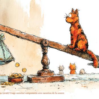Maine Coon : comprendre le prix d’un chaton de race