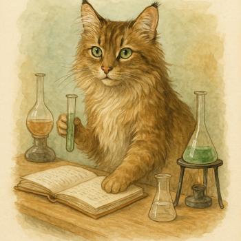 Le chat, partenaire de la recherche médicale sur le cancer