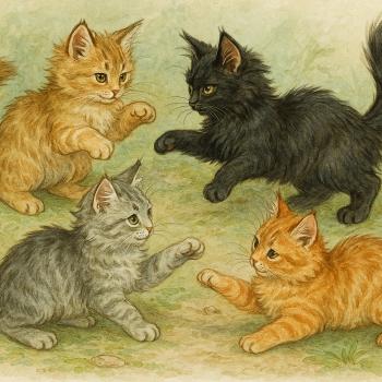 Stérilisation précoce, on fait le point ?