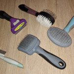 Les brosses