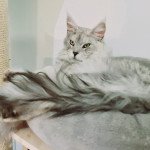 U'Kinäi son papa, à 8 mois