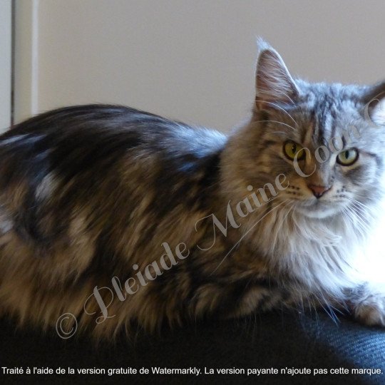 2017-08-13 Lisbeth (2)