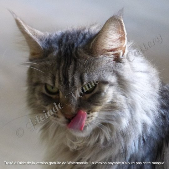 Lisbeth, 10 sept 2017