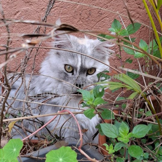 2025-03-23 Victoire (2)