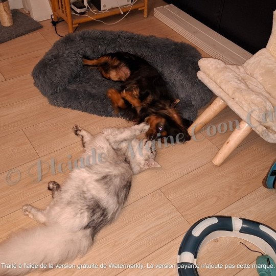 Victoire et Toscane, 18 avril 2025