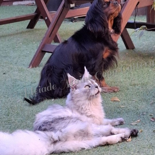 2025-04-21 Victoire et Toscane (2)