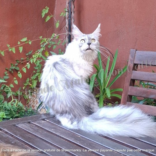 Victoire, 8 juin 2025