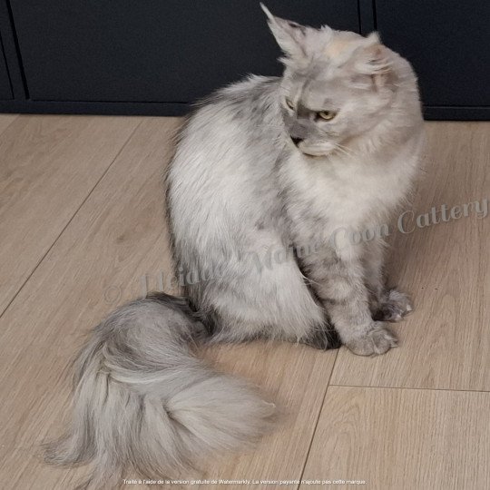 Victoire, 13 sept 2025