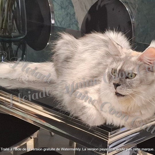 Victoire, 31 octobre 2025