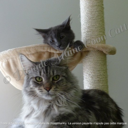 Lisbeth et Elliot, 22 août 2017