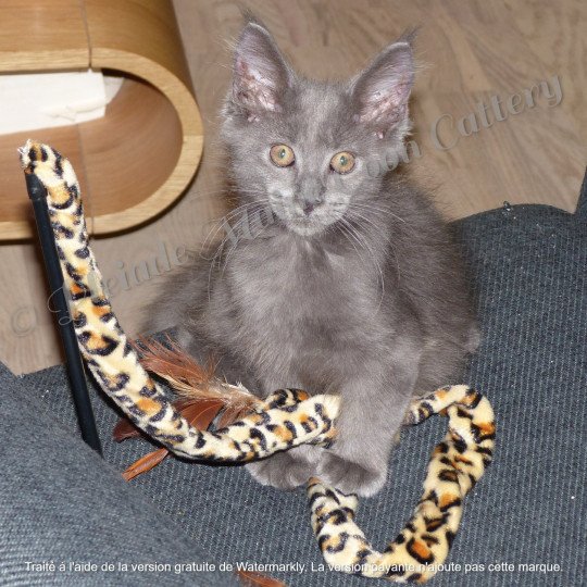 Elliot, 13 août 2017