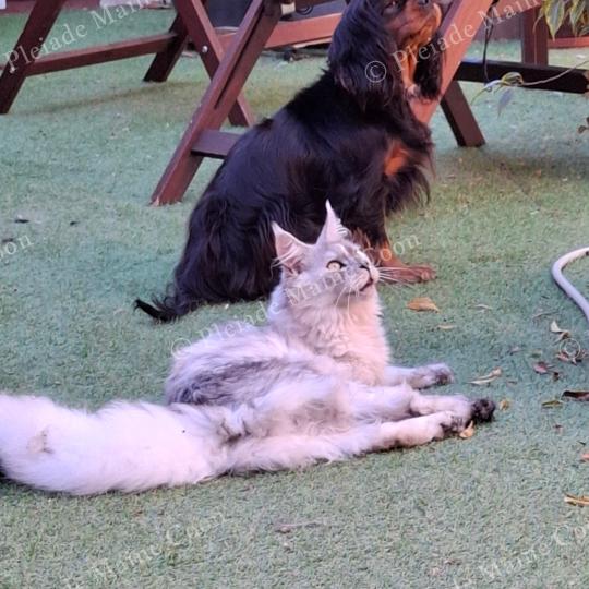 Victoire et Toscane, 21 avril 2025