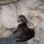 6 août, câlin avec maman